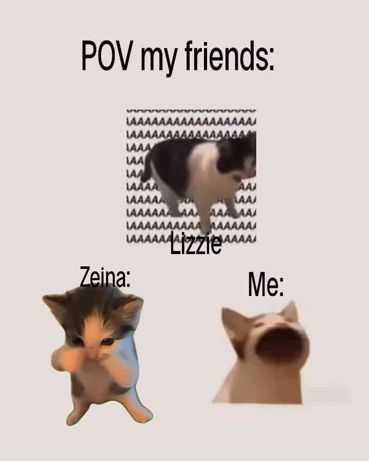 pov my friends: #cats #kinemasterpleasedontreject featuring @isla2026 (zeina) and @katseyeforever (lizzie)