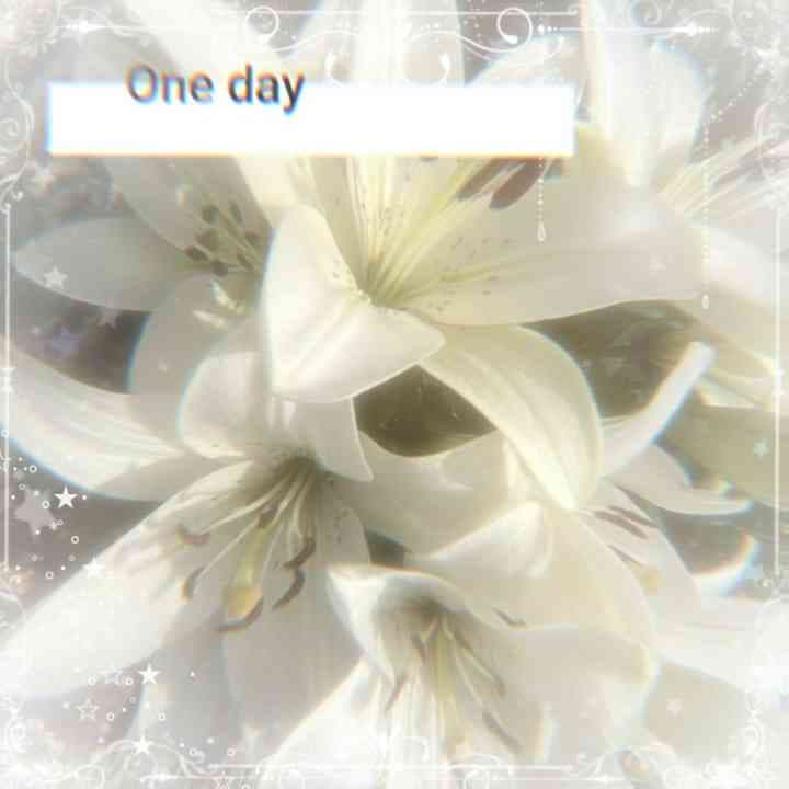 CREDS TO KANROJI FOR THE AUDIO ! Tis is a vent btw #edit #fyp #trend #viral #donotvent #pleasedontventunderthisvideowithoutpremisson #kinemasterpleasedontreject #ツイッター #anime_weeb2013 #therealweeb #letdown #imafailure #whatiswrongwithme #mix #donotuse #donotmix #donotrepost
