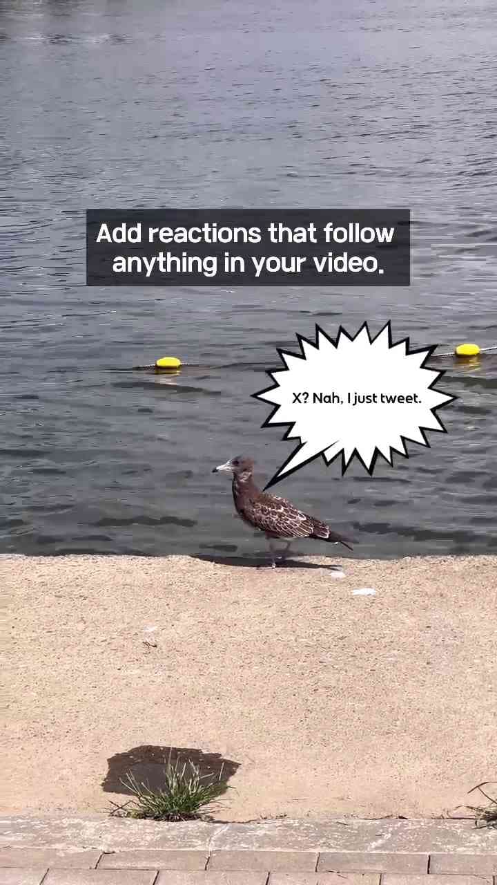 Learn how to create Motion Tracking to track anything with this quick #tutorial